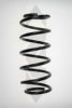 SPIDAN 49450 Coil Spring